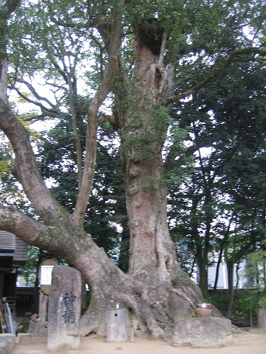 青井阿蘇神社6