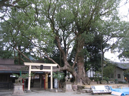 青井阿蘇神社2