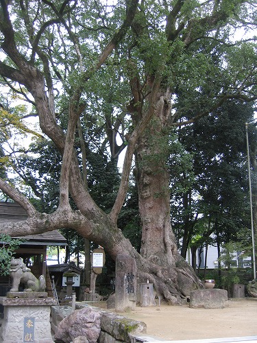 青井阿蘇神社3