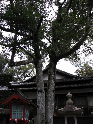 青井阿蘇神社4
