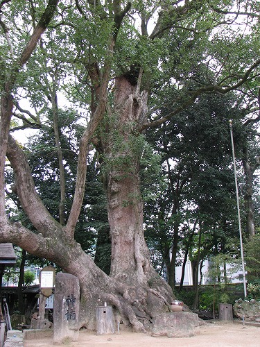 青井阿蘇神社4
