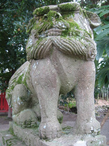 老神社5
