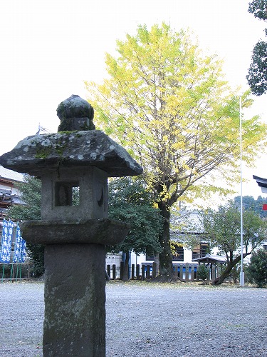老神社11