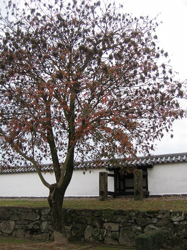 人吉城址24