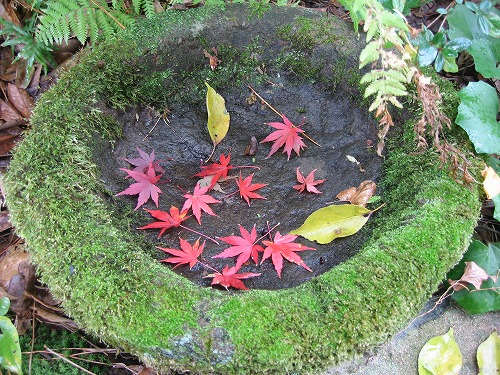 神城文化の森15