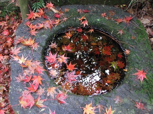 神城文化の森18