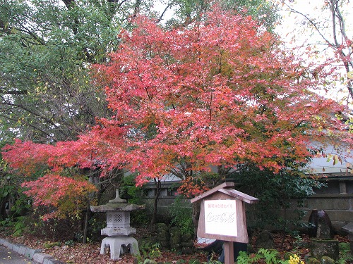 神城神社5
