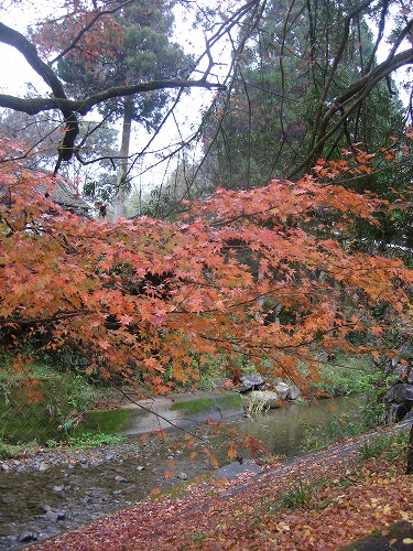 石水寺26