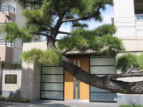 吉田司家1