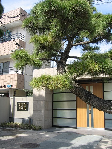 吉田司家3