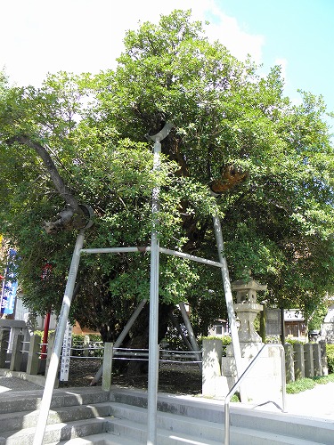 川尻神宮13