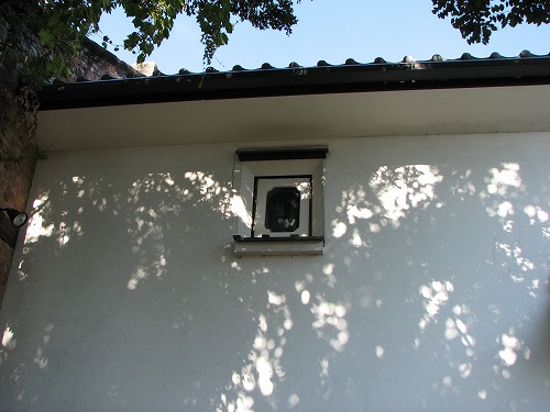 瑞鷹11
