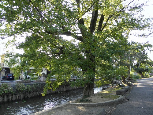 船場橋21