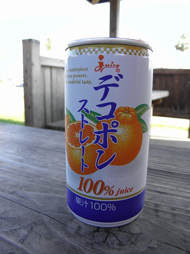 不知火町4