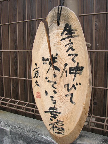 山頭火10