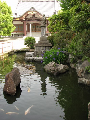 誕生寺13