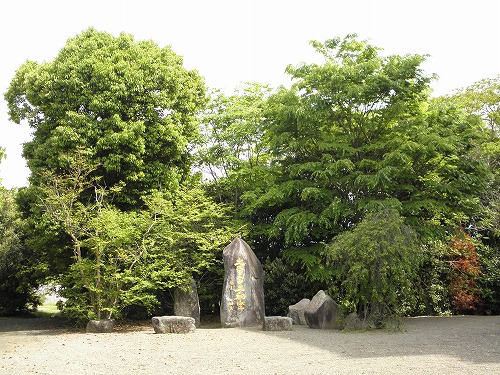 誕生寺16