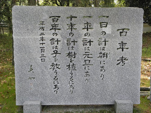 大仏15