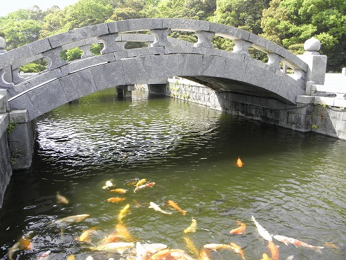 紫燈大護摩道場7