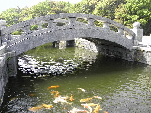紫燈大護摩道場6