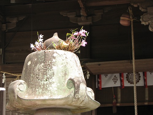 疋野神社9