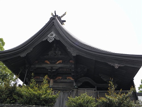 疋野神社10
