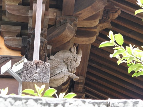 疋野神社14