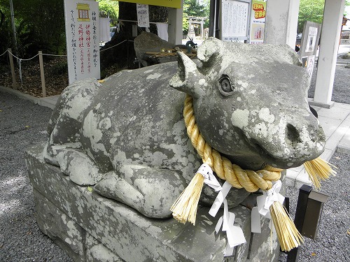 疋野神社15