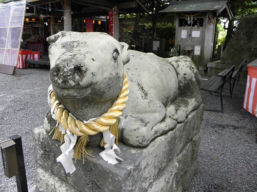 疋野神社16