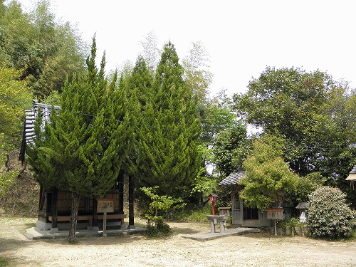 玉名大神宮15