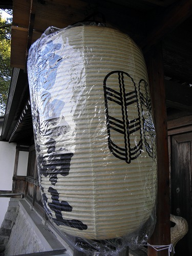菊池神社12