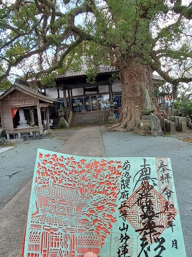 妙蓮寺6