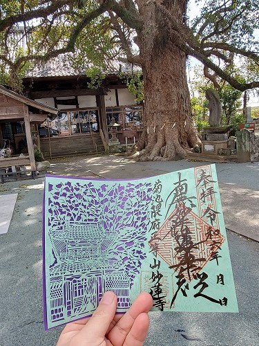 妙蓮寺7
