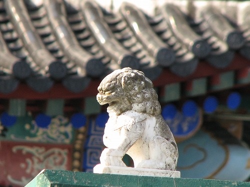 回廊14