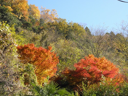 杖立温泉18