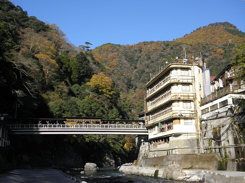もみじ橋1