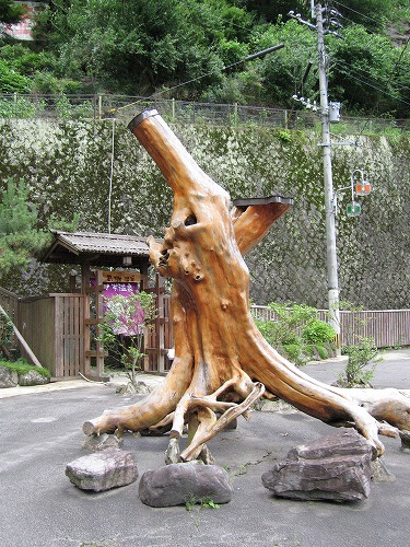 玉ノ樹温泉8