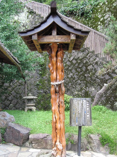 玉ノ樹温泉10