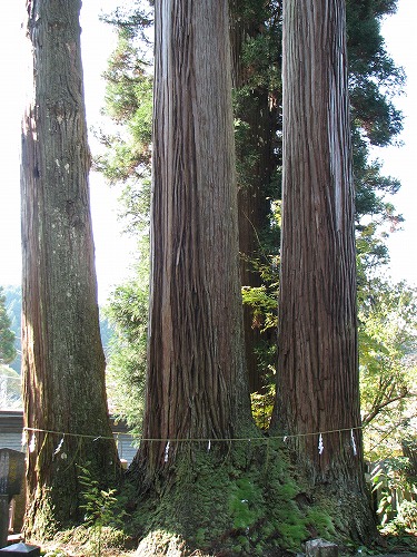 小国両神社16