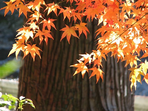 小国両神社19