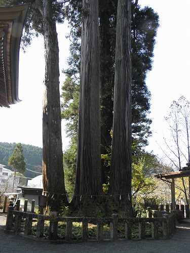 小国両神社17