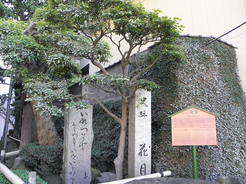 丸山町1