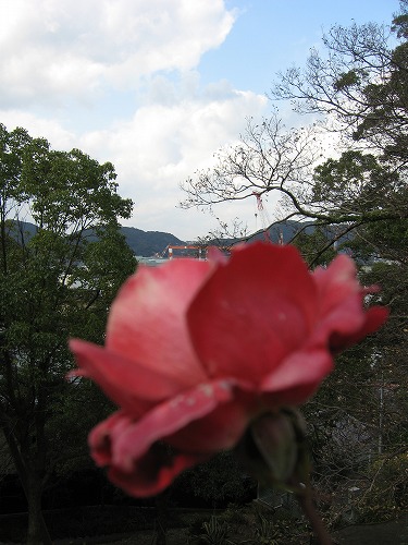 旧スチイル記念学校4
