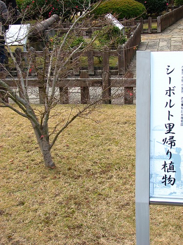 出島15