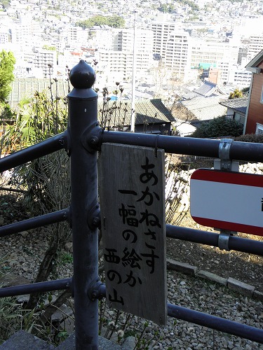 龍馬通り24