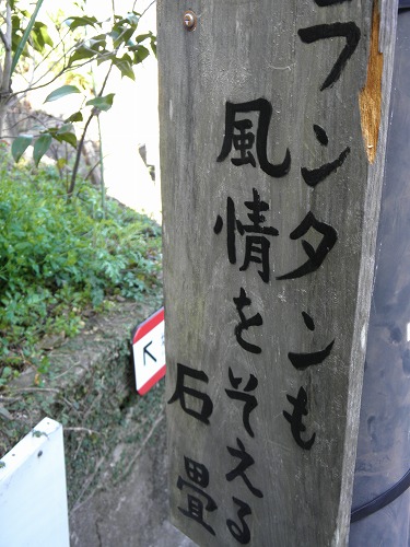 龍馬通り20