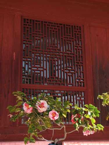 興福寺山門9