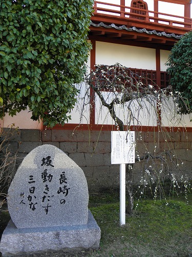 鐘鼓楼22