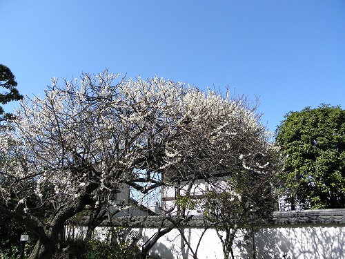 鐘鼓楼25