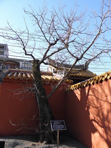 孔子廟10